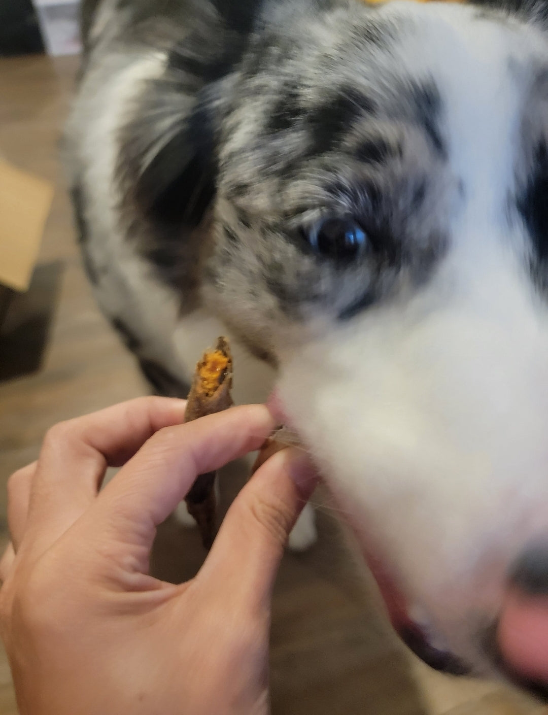 Capelin fish with full roe (eggs), premium homemade healthy dog/cat treats, single ingredient, no addictive, toppers, 2oz