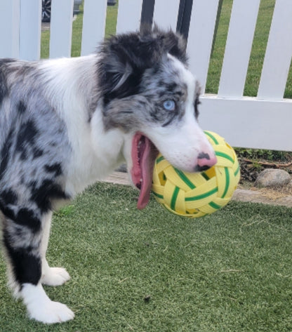 Long Lasting Durable Dog Ball | Play & Energy Drainer | 1ct