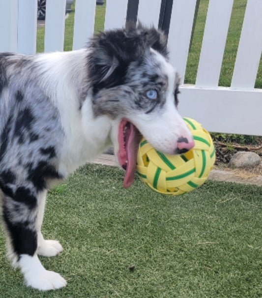 Long Lasting Durable Dog Ball, Bouncy, Encourage Exercise & Interaction, Energy Drainer for hyper dogs