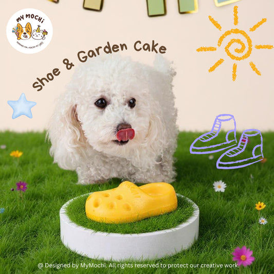 Shoe & Garden Dog Cake Bundle | Special Cake for the Special Paw | Organic Yogurt X Meat
