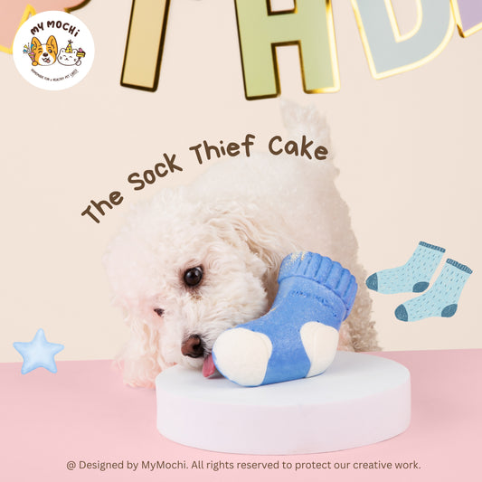 The Sock Thief Cake Bundle | Dog & Cat Cake | Special Cake for the Special Paw | Organic Yogurt X Meat