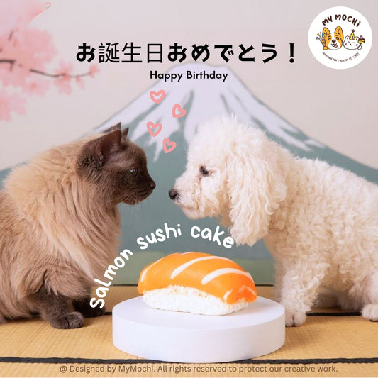 Salmon Sushi Cake Bundle | Dog & Cat Cake | Special Cake for the Special Paw | Organic Yogurt X Meat