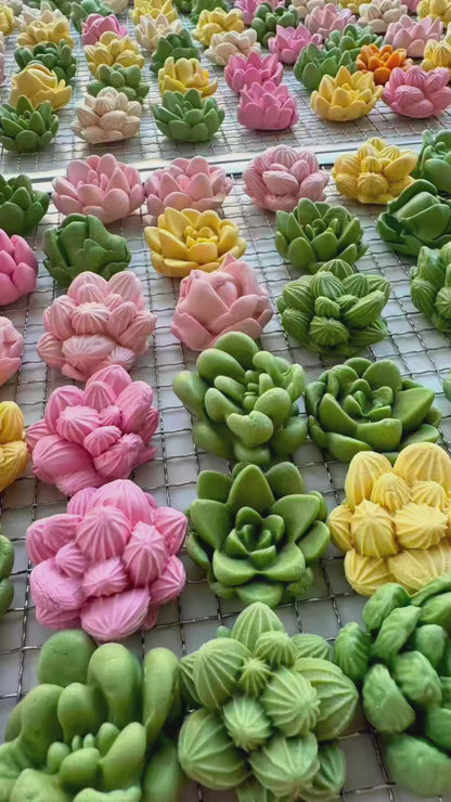 Succulents Plant Dog Treats (Not Soft) | Goat Milk Based | Chomper | 15ct Assorted Designs