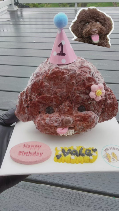 Custom Pop-Up Pawrait Cake | Bespoke Meat Cake Bundle | Dog & Cat | Homemade Plant Based Cream