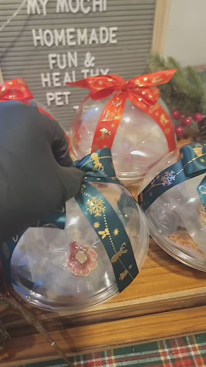Holiday Christmas Snowglobe Gift with treats! Assorted Variety Fun Pet Treats, Perfect for gifting to dogs/cats friends