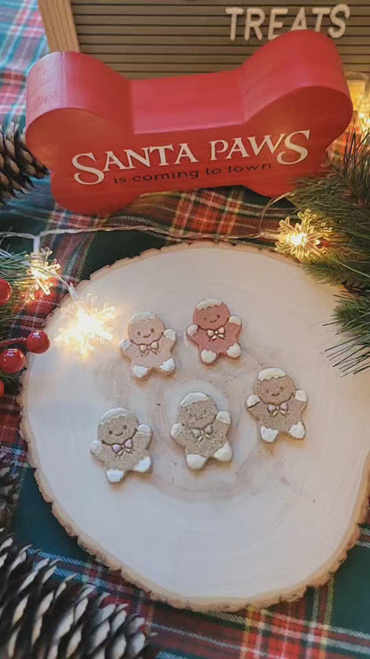 Mini Gingerbread Men| Meat Based |Softie | 5ct| Assorted Designs