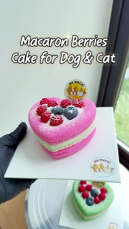 Love-Shaped Macarons Berries Cake (3 Tiers) | Dog & Cat Cake | Organic Yogurt X Meat