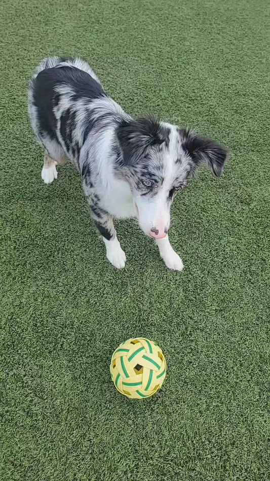 Long Lasting Durable Dog Ball | Play & Energy Drainer | 1ct