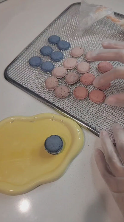 French Macarons Set | Meat Based | Crunchy | 7ct | Assorted Flavors