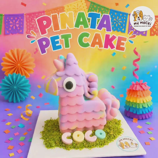 Unicorn Piñata Pet Cake Bundle | Dog Cake | Organic Yogurt X Meat