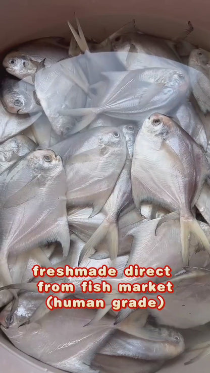 Pompano Whole Fish (Gilled & Gutted) | Treats & Premium Seafood Topper | Crunchy |3ct or 5ct Free 1ct