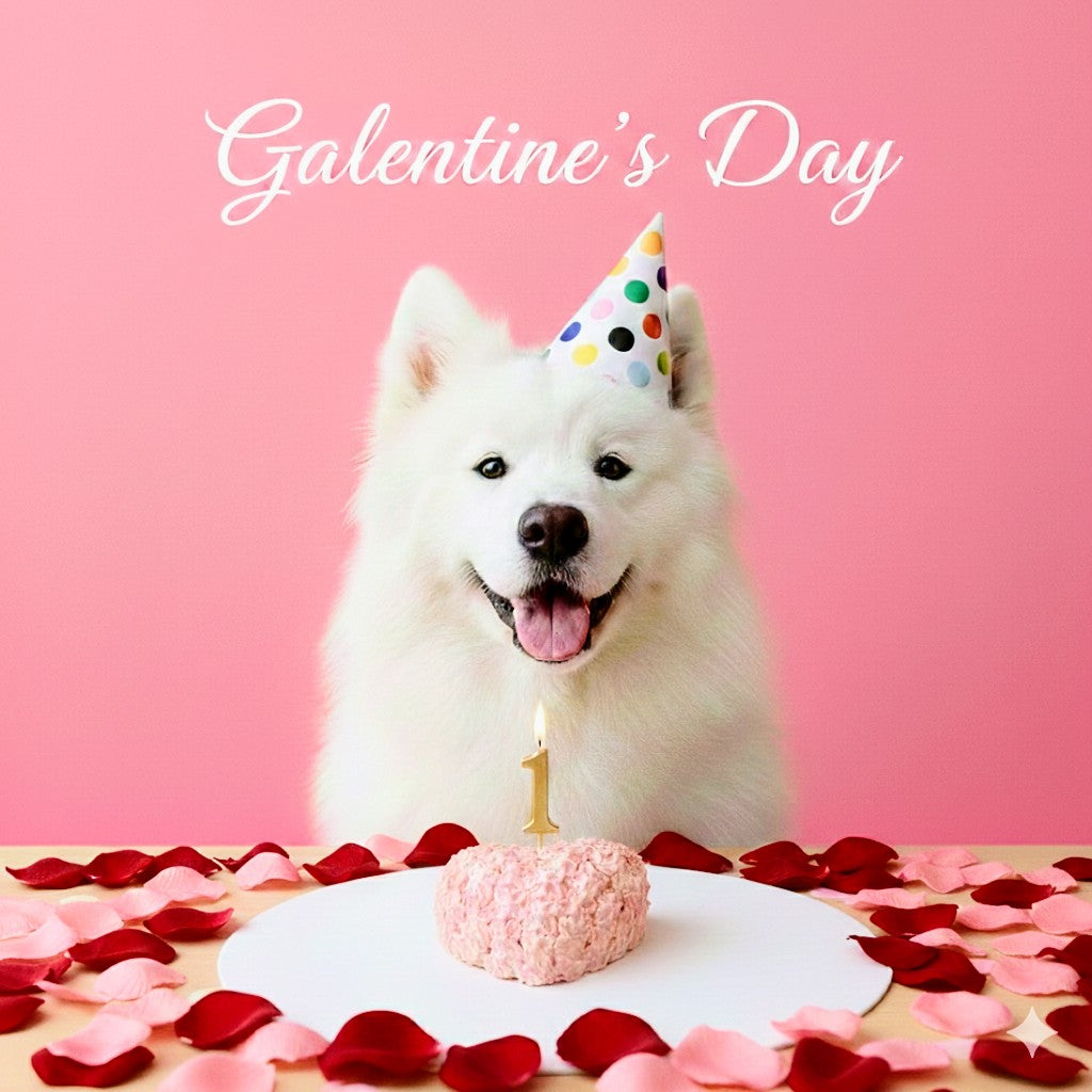 Rose Love Cake VIP Bundle | Dog & Cat Cake | Special Cake for the Special Paw | Organic Yogurt X Meat