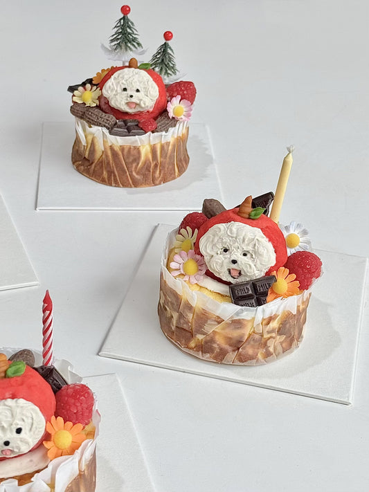 Basque New York Cheesecake Bundle | Dog & Cat Cake | Special Cake for the Special Paw | Organic Yogurt X Meat