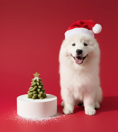 Stackable Christmas Tree Treats Kit (Duck Meat Based)