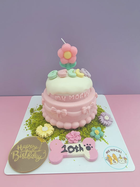 Sweet Heart Cake Bundle (2 Tiers) | Dog & Cat Cake | Special Cake for the Special Paw | Organic Yogurt X Meat